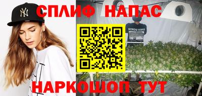 мдпв Брянск